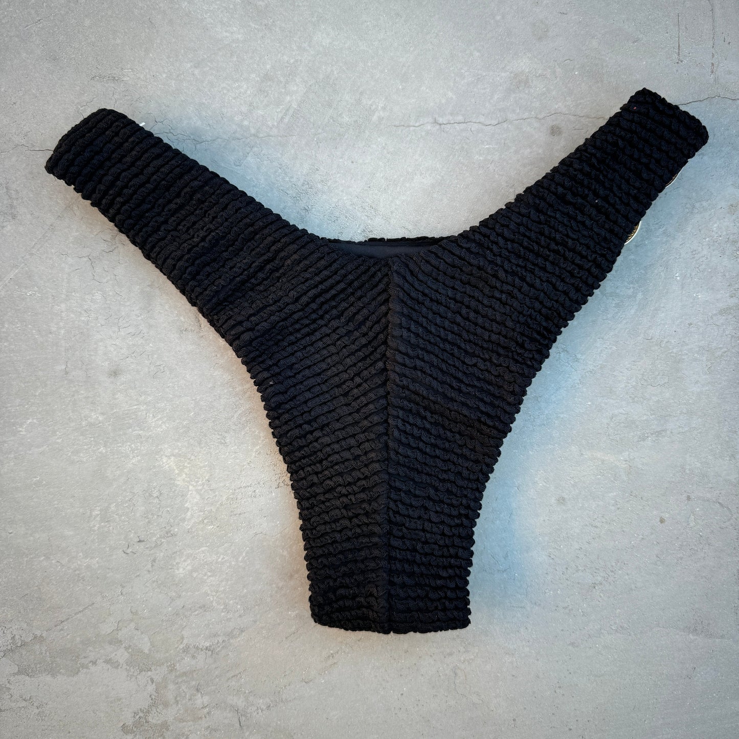 Onyx Textured Bia Metal Bikini Bottom-1